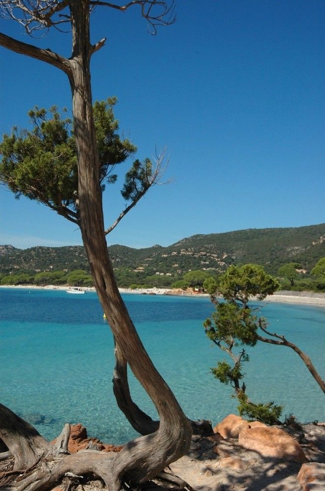 Complesso Residenziale Marina Di Pinarello Aparthotel Pinarellu Kültér fotó